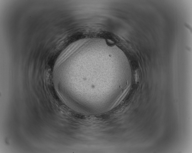 X0000097501059200803071757