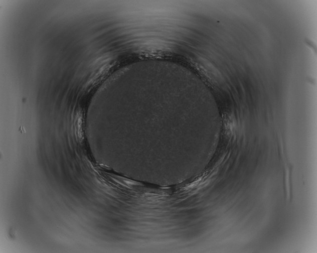 X0000097501060200803071757