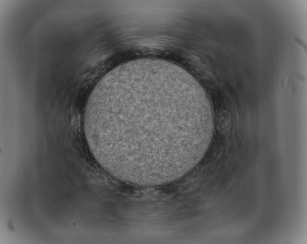 X0000097501061200803071757
