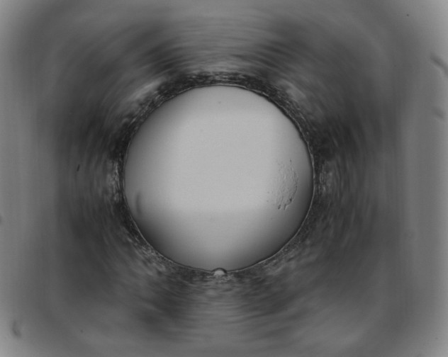 X0000097501062200803071757