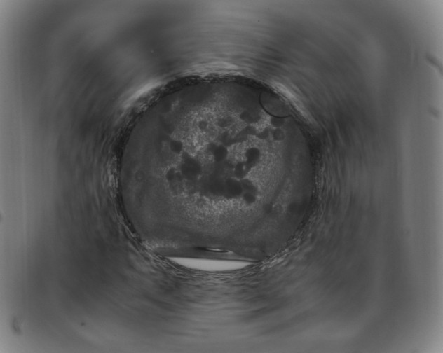 X0000097501063200803071757