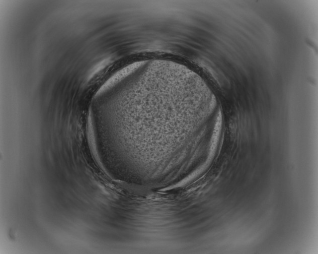 X0000097501064200803071757