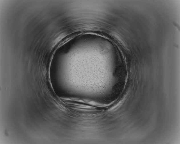 X0000097501065200803071757