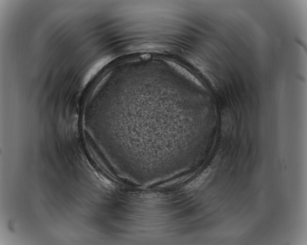 X0000097501066200803071757