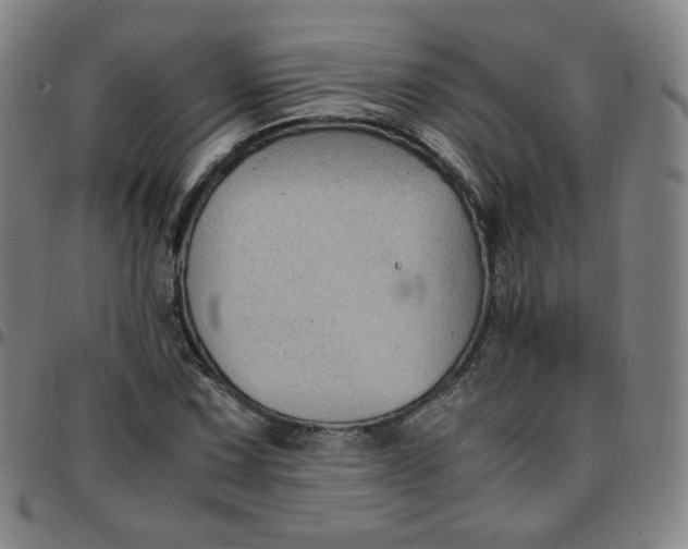 X0000097501067200803071757