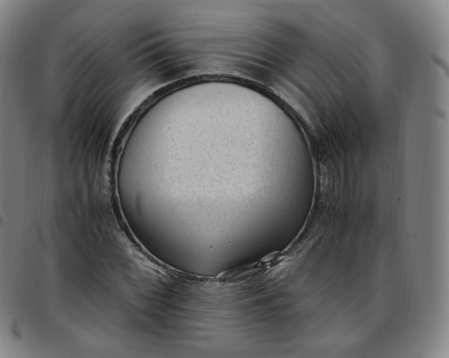 X0000097501068200803071757