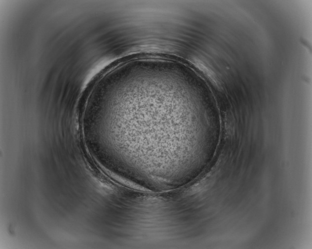 X0000097501070200803071757