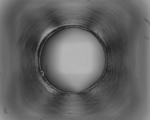 X0000097501072200803071757