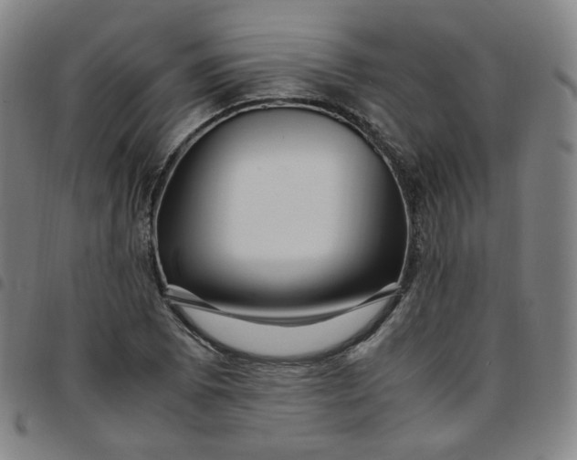 X0000097501073200803071757