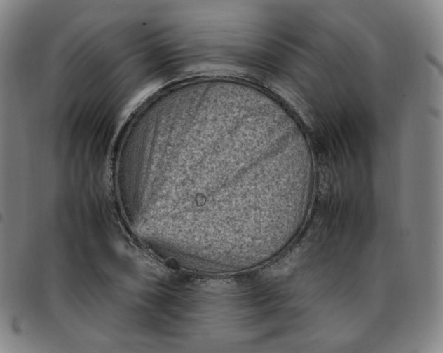 X0000097501074200803071756