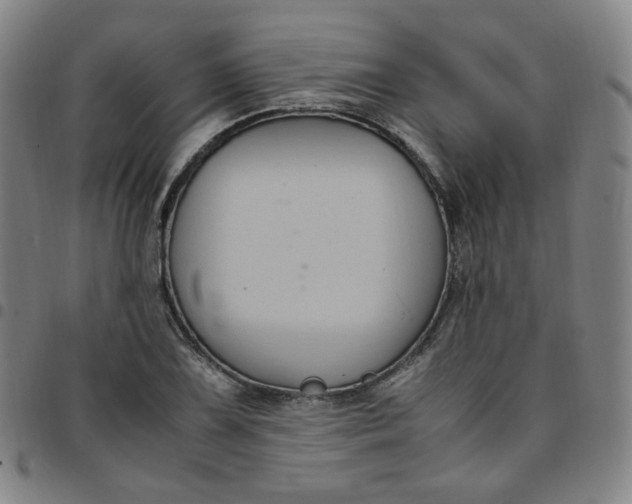 X0000097501075200803071756