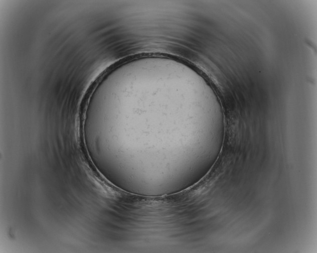 X0000097501076200803071756