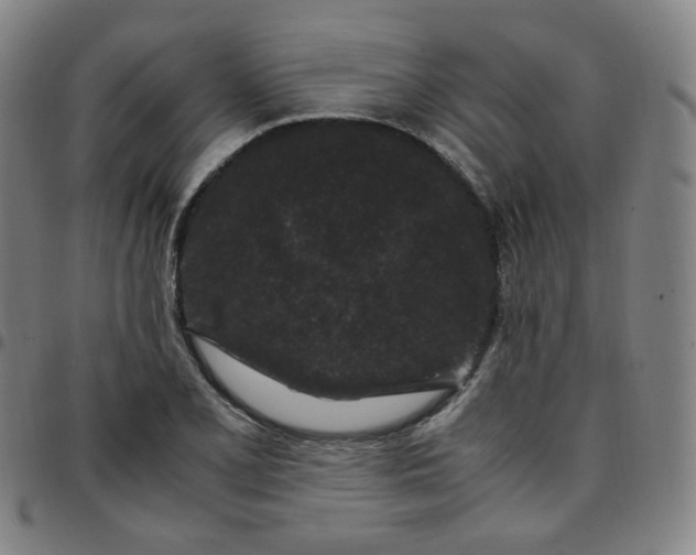 X0000097501077200803071756