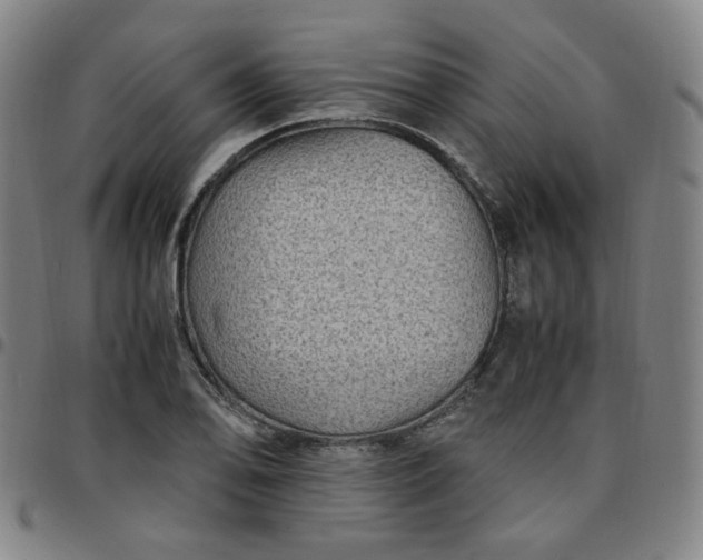 X0000097501078200803071756