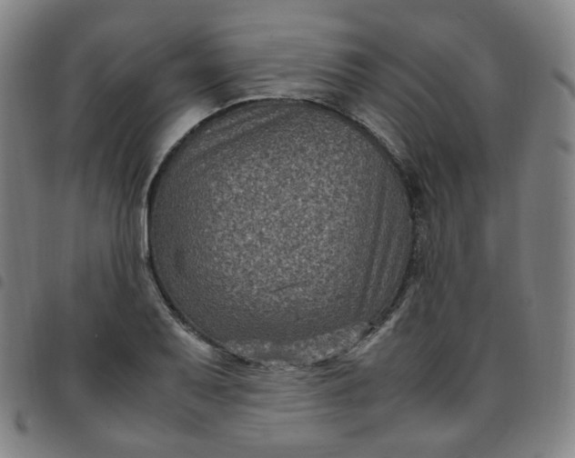 X0000097501079200803071756