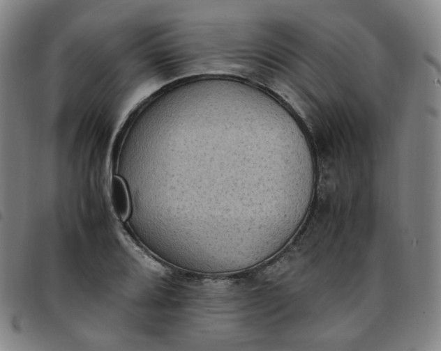 X0000097501080200803071756