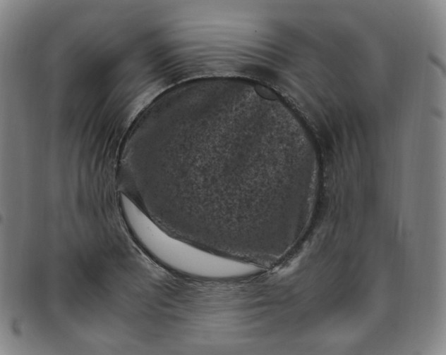 X0000097501081200803071756