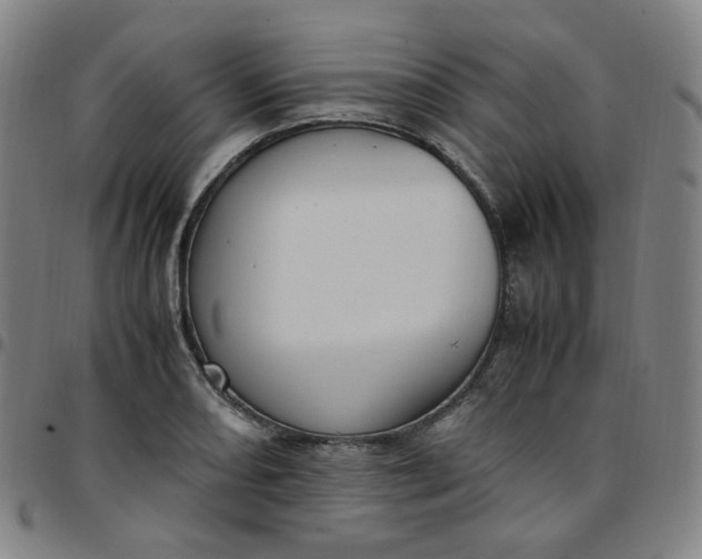 X0000097501082200803071756