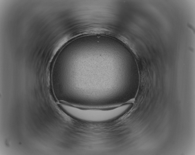 X0000097501083200803071756