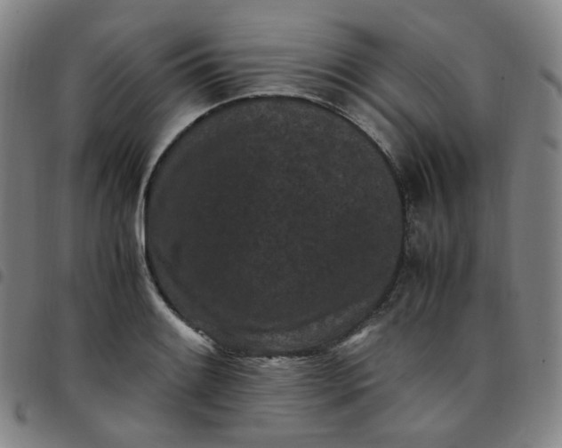 X0000097501084200803071756