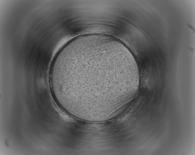 X0000097501086200803071756