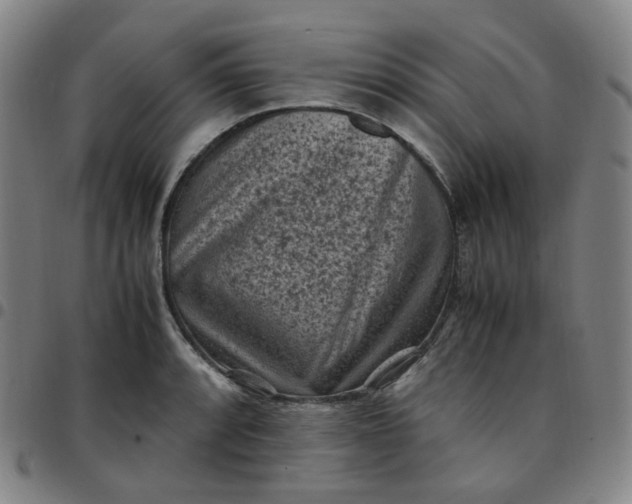 X0000097501088200803071756