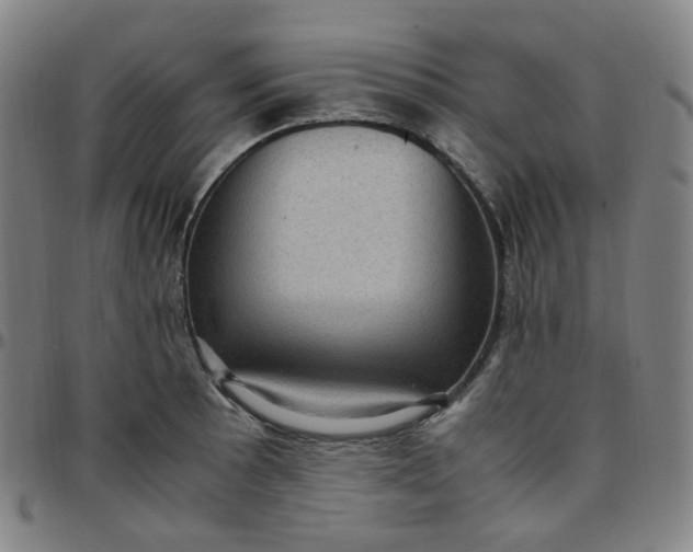X0000097501089200803071756