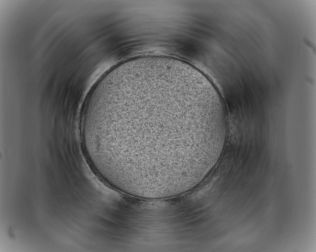 X0000097501090200803071756