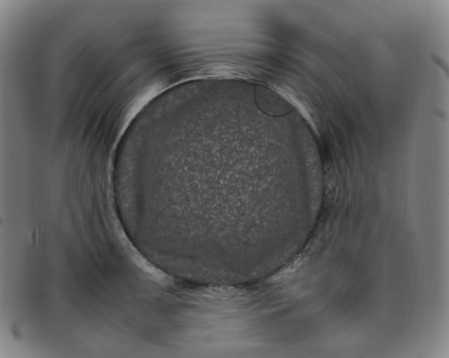 X0000097501091200803071756