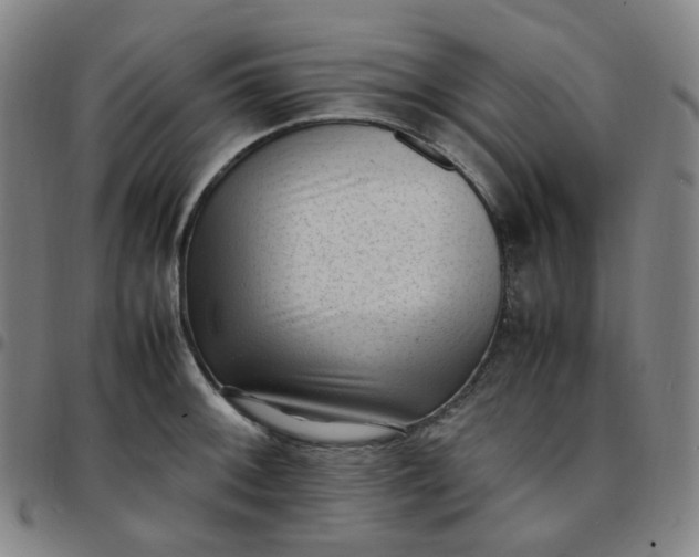 X0000097501092200803071756