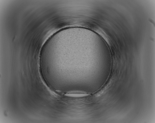 X0000097501093200803071756