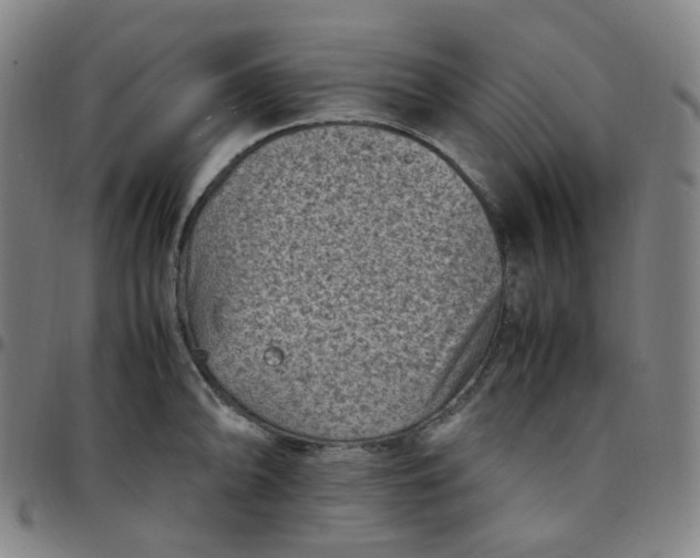 X0000097501094200803071756
