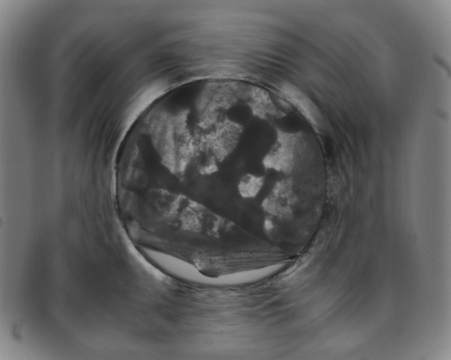 X0000097501095200803071756