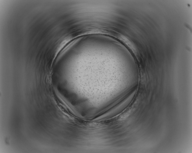 X0000097501097200803071756