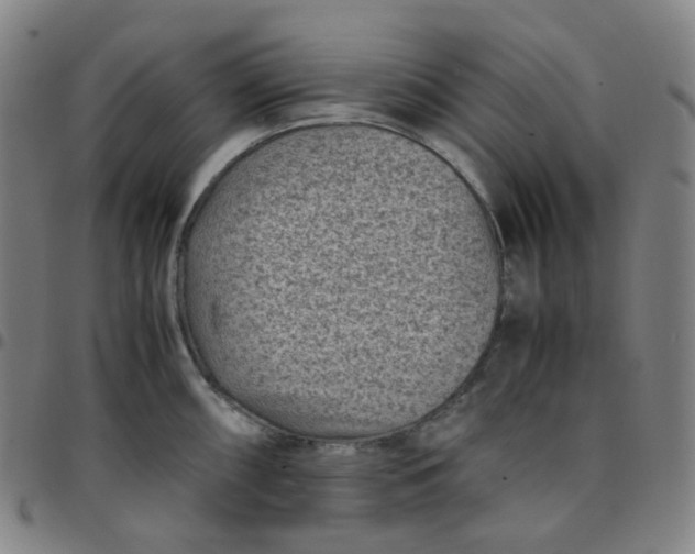 X0000097501098200803071756