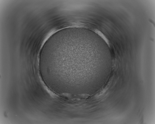 X0000097501099200803071756