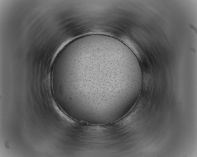 X0000097501100200803071756