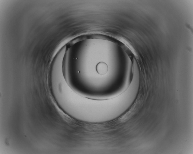 X0000097501101200803071756