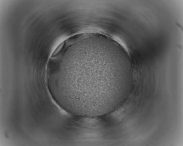 X0000097501103200803071756