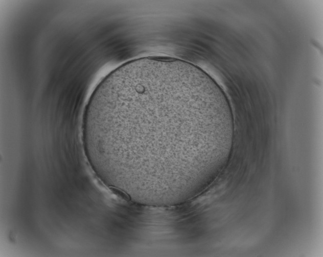 X0000097501104200803071756