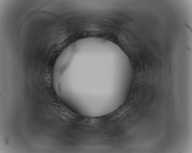 X0000097501109200803071755