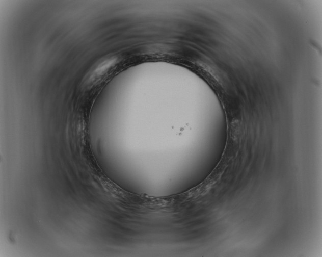 X0000097501111200803071756