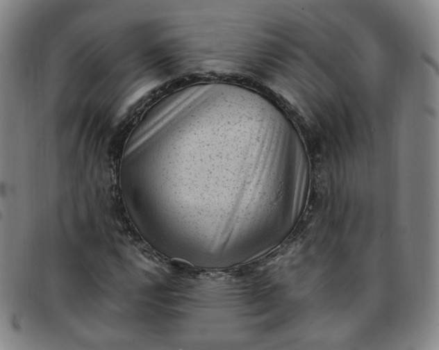X0000097501112200803071756