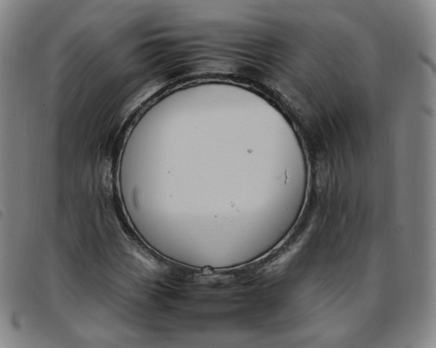 X0000097501113200803071756