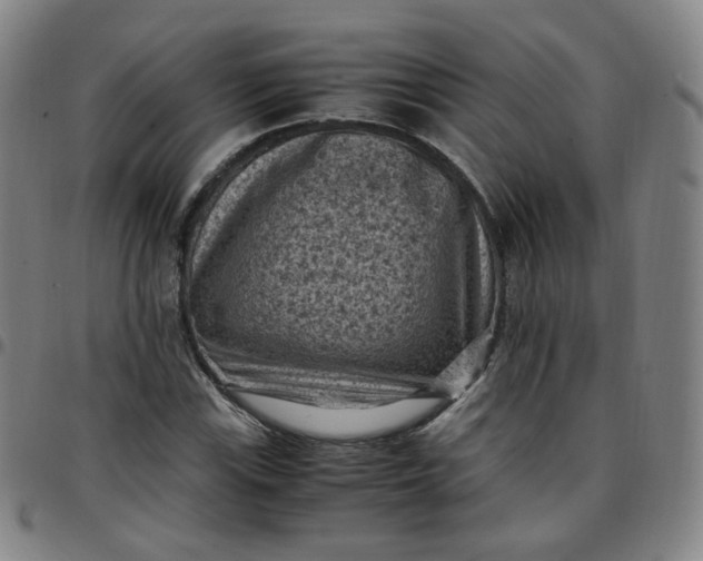X0000097501115200803071756