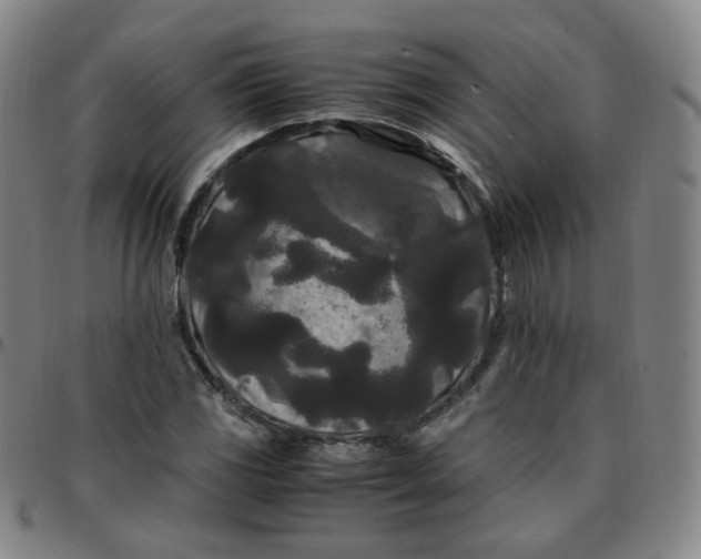 X0000097501117200803071756