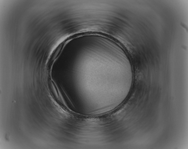 X0000097501118200803071756