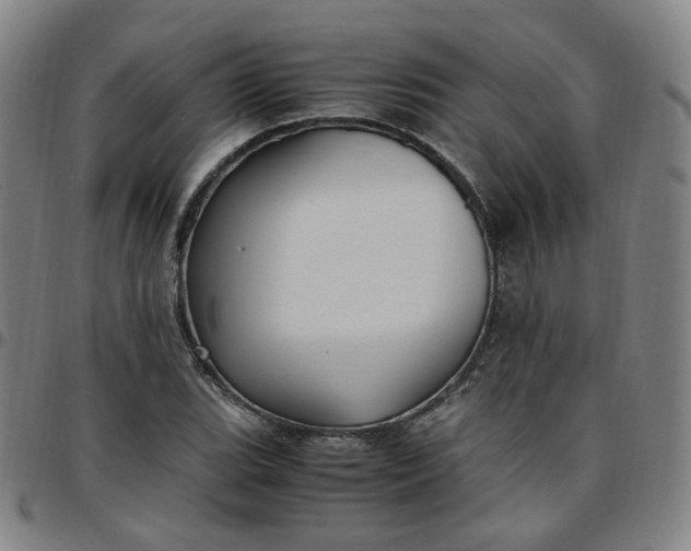 X0000097501119200803071756