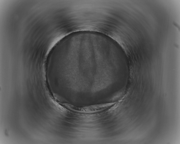 X0000097501120200803071756
