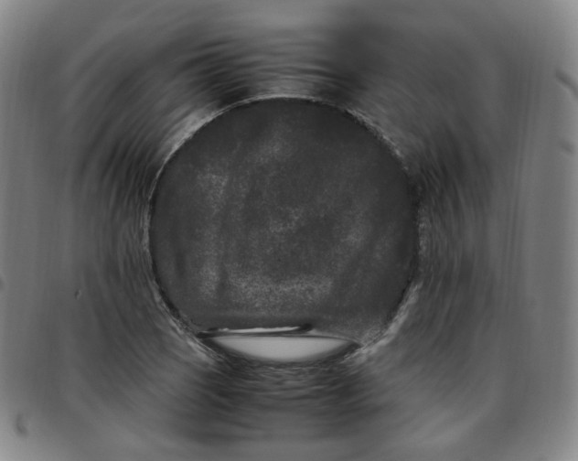 X0000097501121200803071756